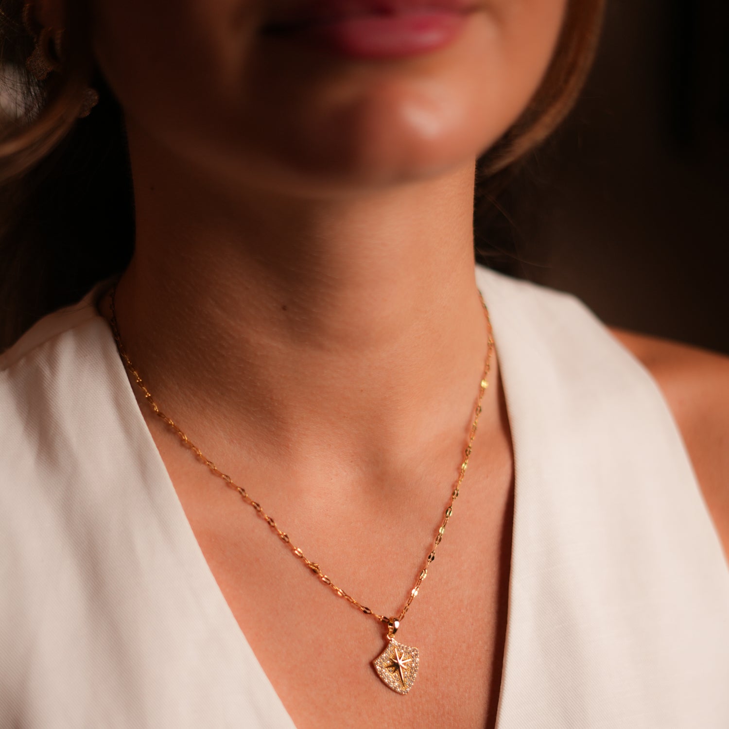 Gold Necklace with Shield-Shaped Diamond Pendant and North Star for Style, Purpose, and Protection