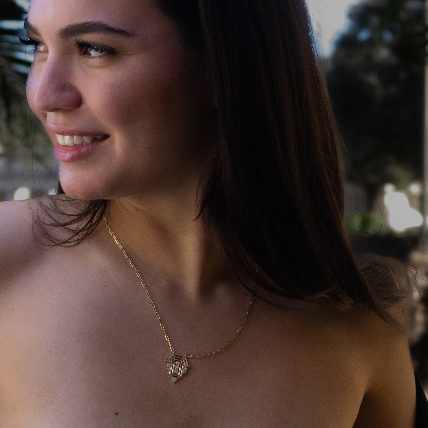 Close-up of royal-style 14K gold medallion necklace for women