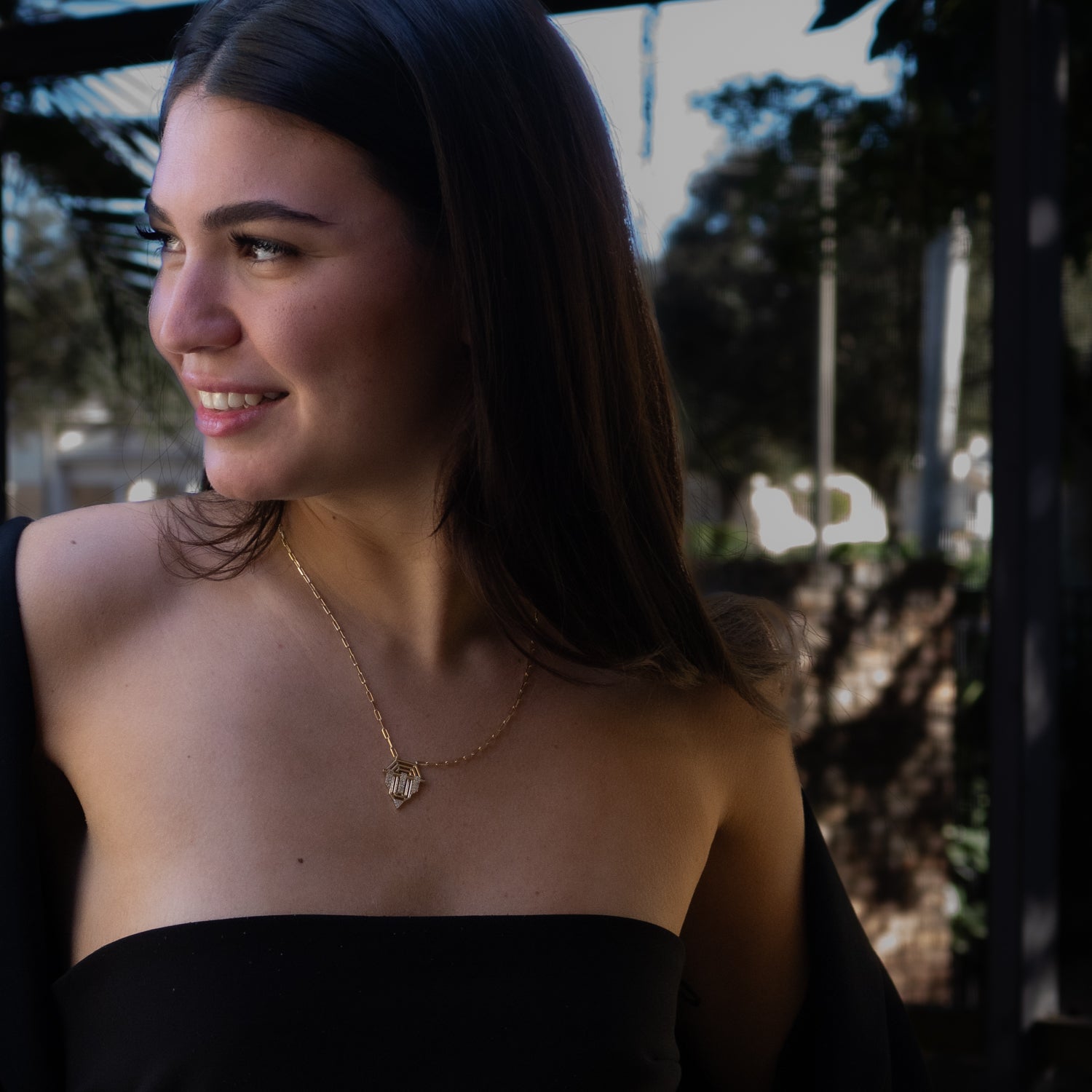 Regal medallion necklace with 14K gold chain and sparkling detail