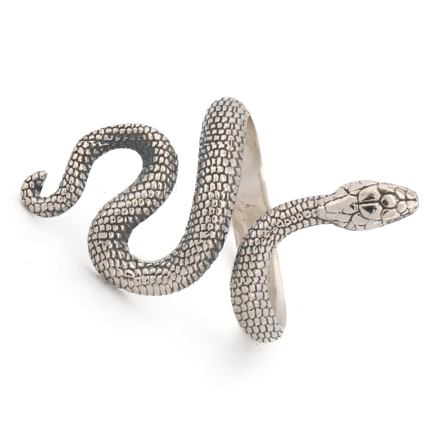 Stylish sterling silver ring featuring a snake design that wraps around the finger, representing life's cycles.
