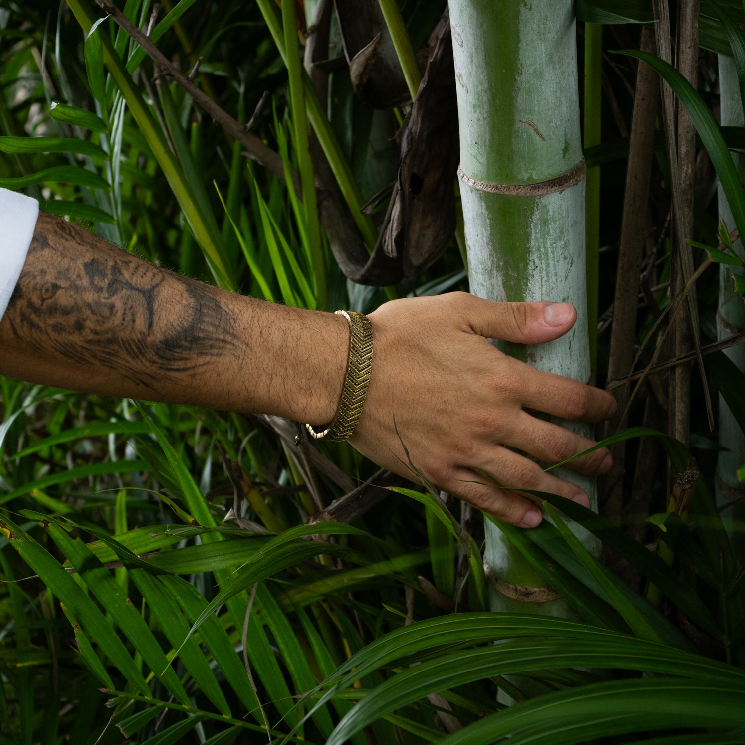 Divine Shield Black Zircon Gold Rope Unisex Bracelet