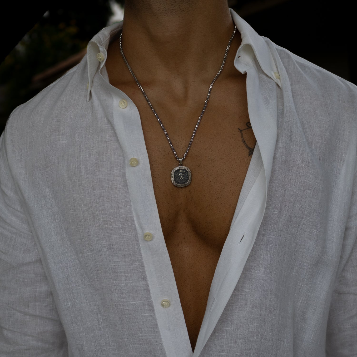 Sterling silver necklace with oxidized detailed lion head medallion pendant, 22-inch chain, bold masculine jewelry.