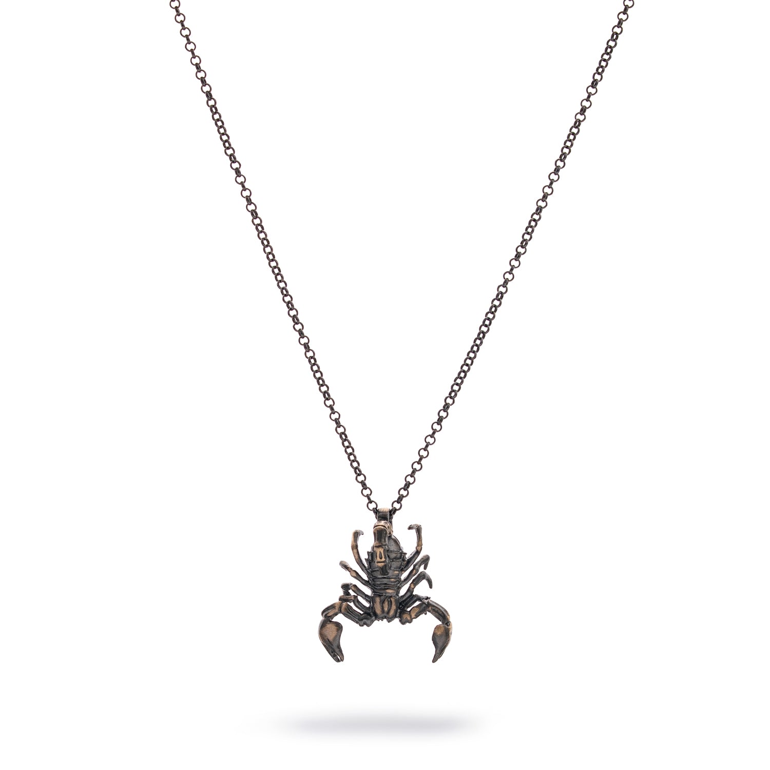 Scorpion Guardian men’s necklace in sterling silver with detailed scorpion pendant, rhodium finish, bold masculine style.