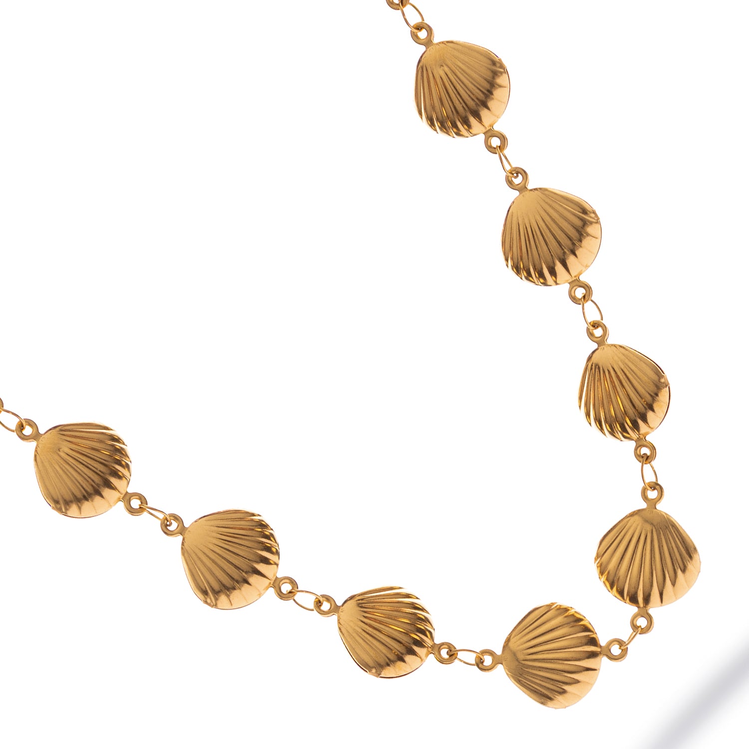 Close-up of sun-kissed necklace with minimalist seashell pendant